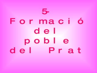 5-Formació del poble del Prat 