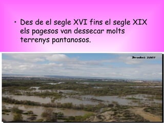Des de el segle XVI fins el segle XIX els pagesos van dessecar molts terrenys pantanosos. 
