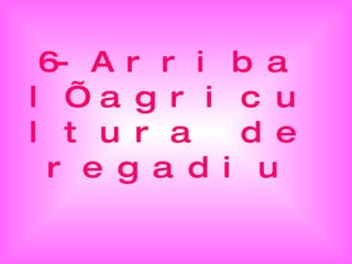 6-Arriba l’agricultura de regadiu 