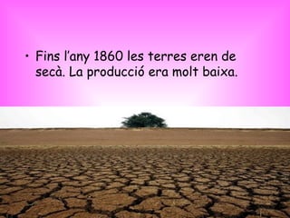 Fins l’any 1860 les terres eren de secà. La producció era molt baixa. 