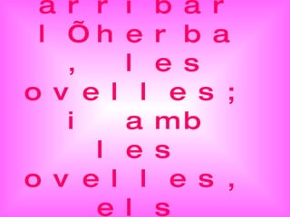 3- I va arribar l’herba , les ovelles; i amb les ovelles, els pastors 