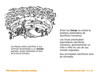 Entre los Incas no existe la
                                        práctica sistemática de
                                        sacrificios humanos.
                                        Los Incas practicaban
                                        esporádicos sacrificios
                                        humanos, generalmente un
    Los Mayas solían sacrificar a sus
                                        niño o niña en uno de sus
    víctimas lanzándolas a un cenote
    sagrado, pozos dedicados al dios    montes sagrados.
    de la lluvia (Chaac).               Sus principales sacrificios eran
                                        de animales.




PSU Historia y Ciencias Sociales           Raíces Históricas de Chile U 1/ 10
 