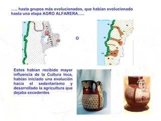 … .. hasta grupos más evolucionados, que habían evolucionado hasta una etapa AGRO ALFARERA….. O  Estos habían recibido mayor influencia de la Cultura Inca, habían iniciado una evolución hacia el sedentarismo y desarrollado la agricultura que dejaba excedentes 