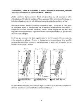 9
batallón entero y a pesar de su ancianidad, se conserva tan vivo y tan verde como el joven roble
que acaricia con sus ramas las corrientes del Maule o del Biobío."
¿Podría encontrarse alguna explicación distinta a la presentada aquí a la presencia de palma
chilena (Jubaea chilensis) en la localidad de Tilama, ubicada a 44 Km. al interior de Pichidangui, en
la Región de Coquimbo? ¿o en el valle del Mapocho según describió Rodrigo Gómez de Vivar?
Ciertamente es escasa la vegetación nativa que queda en el norte y centro-norte de Chile, la que
sin justificación alguna ha sido eliminada por las sucesivas generaciones de colonizadores y
compatriotas que esos territorios habitaron y habitan. Pero la fitogeografía nos ofrece hoy
respuestas con base científica que explican claramente la presencia de los bosques que existieron
en el norte de nuestro país.
En el mapa que se muestra más abajo es posible observar los mismos contenidos expuestos más
arriba, señalados por Villagrán y Armesto en el diagrama anterior, apreciándose allí la superficie
que abarcaban las distintas formaciones vegetacionales que en nuestro país han existido, con sus
distribuciones pretéritas y actuales.
Los antecedentes entregados por la ciencia no dejan lugar a duda alguna, no existe racionalidad en
continuar sosteniendo que en el norte de Chile no existían bosques.
 