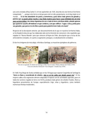 14
una carta enviada al Rey Carlos V, el 4 de septiembre de 1545, describe de esta forma el territorio
conquistado: "…..porque esta tierra es tal que para vivir en ella y perpetuarse, no la hay mejor en el
mundo ….. Es la más abundante de pasto y sementeras y para darse todo género de ganado y
plantas que se puede pintar mucha e muy linda madera para hacer casas infinidad otra de leña
para servicio dellas y las minas riquísimas de oro e toda la tierra está llena dello y donde quieran
que quisieren sacarlo allí hallaran en que sembrar y con que edificar. Y agua. Leña y yerba para
sus ganados, que parece la crio Dios a posta para poderlo tener todo a la mano".
Respecto de la descripción anterior, por desconocimiento de lo que en nuestros territorios había,
se ha forjado la idea de que fue elaborada solo con la intención de convencer a los españoles que
viajaban al “Nuevo Mundo” para que vinieran al Reyno de Chile, descripción que a la luz de los
antecedentes revisados, en cuanto a vegetación y bosques, es absolutamente verdadera.
En las tres imágenes de más abajo, referidas a Santiago, se muestran ejemplares de palmeras.
Foto de la izquierda: El villorrio de Santiago (1544); Foto al centro: Palmas chilenas de El Salto (1930)
Foto de la derecha: Ilustración "Una Chingana". Claudio Gay (1854)
En 1600, fray Diego de Ocaña señalaba que en las 70 leguas que separan Coquimbo de Santiago la
"tierra es llana y escombrada de árboles, sino es en los valles por donde pasan ríos". En los
mejores valles esta vegetación silvestre disputaba el espacio con las actividades agrícolas, pues en
todos los sectores regados la tierra era fértil y producía todo género de árboles frutales, flores y
legumbres provenientes de Europa, especialmente trigo, viñas y legumbres, como también
numerosas hierbas medicinales..
 