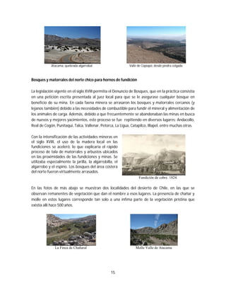 15
Atacama, quebrada algarrobal. Valle de Copiapó, desde piedra colgada
Bosques y matorrales del norte chico para hornos de fundición
La legislación vigente en el siglo XVIII permitía el Denuncio de Bosques, que en la práctica consistía
en una petición escrita presentada al juez local para que se le asegurase cualquier bosque en
beneficio de su mina. En cada faena minera se arrasaron los bosques y matorrales cercanos (y
lejanos también) debido a las necesidades de combustible para fundir el mineral y alimentación de
los animales de carga. Además, debido a que frecuentemente se abandonaban las minas en busca
de nuevos y mejores yacimientos, este proceso se fue repitiendo en diversos lugares: Andacollo,
Real de Cogón, Punitaqui, Talca, Vallenar, Petorca, La Ligua, Catapilco, Illapel, entre muchas otras.
Con la intensificación de las actividades mineras en
el siglo XVIII, el uso de la madera local en las
fundiciones se aceleró, lo que explicaría el rápido
proceso de tala de matorrales y arbustos ubicados
en las proximidades de las fundiciones y minas. Se
utilizaba especialmente la jarilla, la algarrobilla, el
algarrobo y el espino. Los bosques del área costera
del norte fueron virtualmente arrasados.
Fundición de cobre. 1824.
En las fotos de más abajo se muestran dos localidades del desierto de Chile, en las que se
observan remanentes de vegetación que dan el nombre a esos lugares. La presencia de chañar y
molle en estos lugares corresponde tan solo a una ínfima parte de la vegetación prístina que
existía allí hace 500 años.
La Finca de Chañaral Molle Valle de Atacama
 
