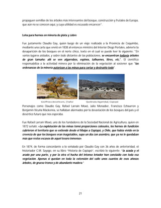 21
propaguen semillas de los árboles más interesantes del bosque, construcción y frutales de Europa,
que aún no se conocen aquí, y cuya utilidad es escusado encarecer”.
Leña para hornos en minería de plata y cobre
Fue justamente Claudio Gay, quien luego de un viaje realizado a la Provincia de Coquimbo,
mediante una carta que envió en 1838 al entonces ministro del Interior Diego Portales, advierte la
desaparición de los bosques en el norte chico, texto en el cual se puede leer lo siguiente: "En
varios lugares aislados, y sobre todo distantes de las poblaciones, se encuentran todavía árboles
de gran tamaño; allí se ven algarrobos, espinos, talhuenes, litres, etc.". El científico
responsabiliza a la actividad minera por la eliminación de la vegetación al sostener que "las
ordenanzas de la minería autorizan a las minas para cortar y destruirlo todo".
Personajes como Claudio Gay, Rafael Larraín Moxó, Julio Menadier, Francisco Echaurren y
Benjamín Vicuña Mackenna, se hallaban alarmados por la devastación de los bosques del país y el
desértico futuro que nos esperaba.
Fue Rafael Larraín Moxó, uno de los fundadores de la Sociedad Nacional de Agricultura, quien en
1872 señaló: «La explotación de las minas tomó proporciones colosales, los hornos de fundición
cubrieron el territorio que se extiende desde el Maipo a Copiapó, y Chile, que había vivido en la
creencia de que los bosques eran inagotables, supo un día con asombro, que ya no le quedaban
más que restos escasos de aquel tesoro inmenso»
En 1874, de forma concordante a lo señalado por Claudio Gay con 36 años de anterioridad, el
historiador C.M. Sayago, en su libro “Historia de Copiapó”, escribió lo siguiente: “la azada y el
arado por una parte, y por la otra el hacha del intonso leñador han concluido con toda esa
vegetación. Apenas si quedan en toda la extensión del valle unos cuantos de esos añosos
árboles, de grueso tronco y de abundante madera.”
 