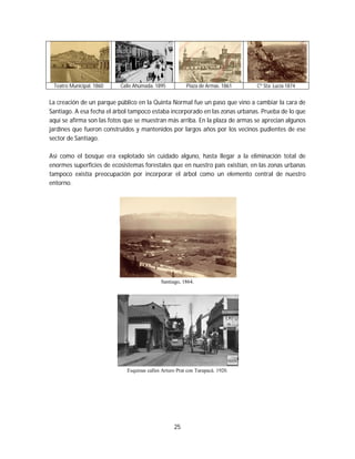 25
Teatro Municipal. 1860 Calle Ahumada. 1895 Plaza de Armas. 1861 Cº Sta. Lucía 1874
La creación de un parque público en la Quinta Normal fue un paso que vino a cambiar la cara de
Santiago. A esa fecha el árbol tampoco estaba incorporado en las zonas urbanas. Prueba de lo que
aquí se afirma son las fotos que se muestran más arriba. En la plaza de armas se aprecian algunos
jardines que fueron construidos y mantenidos por largos años por los vecinos pudientes de ese
sector de Santiago.
Así como el bosque era explotado sin cuidado alguno, hasta llegar a la eliminación total de
enormes superficies de ecosistemas forestales que en nuestro país existían, en las zonas urbanas
tampoco existía preocupación por incorporar el árbol como un elemento central de nuestro
entorno.
Santiago, 1864.
Esquinas calles Arturo Prat con Tarapacá. 1920.
 