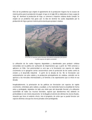 27
Otro de los problemas que originó el agotamiento de la producción triguera fue la escases de
materia prima para la producción de papel, el que en el siglo XIX se elaboraba en base a paja de
trigo. Al disminuir la producción de trigo, se comenzó a importar celulosa desde Canadá. Se
originó así un problema más grave aún: la idea de destinar los suelos degradados por la
producción de trigo a generar materia prima barata para producir celulosa.
En la foto se muestran suelos forestales descubiertos preparados para plantar
en ellos especies de rápido crecimiento
La utilización de los suelos trigueros degradados y abandonados para producir celulosa
concordaba con la política de sustitución de importaciones que a partir de 1930 comenzó a
aplicarse en Chile. Con posterioridad se verá que a la forestación con especies de rápido
crecimiento se le agregaron ciertas características como la protección de los suelos contra la
erosión y el desarrollo industrial. A partir de la década de los `80, la forestación casi
exclusivamente con pino radiata y la producción principalmente de celulosa, coincidió con la
apertura a los mercados internacionales y el fomento a las exportaciones que se inició en esa
década.
Inexplicablemente, la priorización de las políticas de forestación con especies de rápido
crecimiento, entiéndase pino radiata y eucalipto, se ha mantenido hasta la actualidad de forma
única y privilegiada, dejándose de lado una visión país del desarrollo forestal y la utilización
sustentable de todos sus recursos forestales, aspecto que abordaremos más adelante en
profundidad en este mismo documento. Se ha llegado al extremo de eliminar los viveros fiscales,
situación que tiene el evidente efecto, sino el propósito, de evitar que se pueda forestar con
especies distintas a las que los viveros privados estén privilegiando.
 