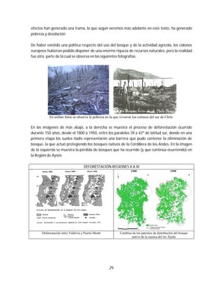 29
efectos han generado una trama, la que según veremos más adelante en este texto, ha generado
pobreza y desolación.
De haber existido una política respecto del uso del bosque y de la actividad agrícola, los colonos
europeos hubieran podido disponer de una enorme riqueza de recursos naturales, pero la realidad
fue otra, parte de la cual se observa en las siguientes fotografías.
En ambas fotos se observa la pobreza en la que vivieron los colonos del sur de Chile
En las imágenes de más abajo, a la derecha se muestra el proceso de deforestación ocurrido
durante 150 años, desde el 1800 a 1950, entre los paralelos 39 a 42º de latitud sur, donde en una
primera etapa los suelos ñadis representaron una barrera que pudo contener la eliminación de
bosque, la que actuó protegiendo los bosques nativos de la Cordillera de los Andes. En la imagen
de la izquierda se muestra la pérdida de bosques que ha ocurrido (y que continúa ocurriendo) en
la Región de Aysén.
DEFORESTACIÓN REGIONES X A XI
1900 1998
Deforestación entre Valdivia y Puerto Montt Cambios de los patrones de distribución del bosque
nativo de la cuenca del río Aysén
 