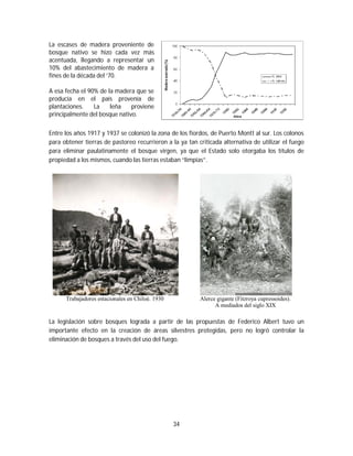 34
La escases de madera proveniente de
bosque nativo se hizo cada vez más
acentuada, llegando a representar un
10% del abastecimiento de madera a
fines de la década del ‘70.
A esa fecha el 90% de la madera que se
producía en el país provenía de
plantaciones. La leña proviene
principalmente del bosque nativo.
Entre los años 1917 y 1937 se colonizó la zona de los fiordos, de Puerto Montt al sur. Los colonos
para obtener tierras de pastoreo recurrieron a la ya tan criticada alternativa de utilizar el fuego
para eliminar paulatinamente el bosque virgen, ya que el Estado solo otorgaba los títulos de
propiedad a los mismos, cuando las tierras estaban “limpias”.
Trabajadores estacionales en Chiloé. 1930 Alerce gigante (Fitzroya cupressoides).
A mediados del siglo XIX
La legislación sobre bosques lograda a partir de las propuestas de Federico Albert tuvo un
importante efecto en la creación de áreas silvestres protegidas, pero no logró controlar la
eliminación de bosques a través del uso del fuego.
 