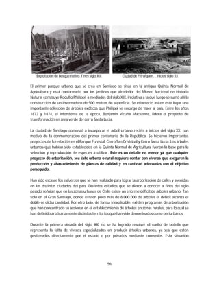56
Explotación de bosque nativo. Fines siglo XIX Ciudad de Pitrufquen. . Inicios siglo XX
El primer parque urbano que se crea en Santiago se sitúa en la antigua Quinta Normal de
Agricultura y está conformado por los jardines que alrededor del Museo Nacional de Historia
Natural construye Rodulfo Philippi, a mediados del siglo XIX, iniciativa a la que luego se sumó allí la
construcción de un invernadero de 500 metros de superficie. Se estableció así en este lugar una
importante colección de árboles exóticos que Philippi se encargó de traer al país. Entre los años
1872 y 1874, el intendente de la época, Benjamín Vicuña Mackenna, lidera el proyecto de
transformación en área verde del cerro Santa Lucía.
La ciudad de Santiago comenzó a incorporar el árbol urbano recién a inicios del siglo XX, con
motivo de la conmemoración del primer centenario de la República. Se hicieron importantes
proyectos de forestación en el Parque Forestal, Cerro San Cristóbal y Cerro Santa Lucía. Los árboles
urbanos que habían sido establecidos en la Quinta Normal de Agricultura fueron la base para la
selección y reproducción de especies a utilizar. Este es un detalle no menor ya que cualquier
proyecto de arborización, sea éste urbano o rural requiere contar con viveros que aseguren la
producción y abastecimiento de plantas de calidad y en cantidad adecuadas con el objetivo
perseguido.
Han sido escasos los esfuerzos que se han realizado para lograr la arborización de calles y avenidas
en las distintas ciudades del país. Distintos estudios que se dieron a conocer a fines del siglo
pasado señalan que en las zonas urbanas de Chile existe un enorme déficit de árboles urbano. Tan
solo en el Gran Santiago, donde existen poco más de 6.000.000 de árboles el déficit alcanza el
doble se dicha cantidad. Por otro lado, de forma inexplicable, existen programas de arborización
que han concentrado su accionar en el establecimiento de árboles en zonas rurales, para lo cual se
han definido arbitrariamente distintos territorios que han sido denominados como periurbanos.
Durante la primera década del siglo XXI no se ha logrado resolver el cuello de botella que
representa la falta de viveros especializados en producir árboles urbanos, ya sea que estén
gestionados directamente por el estado o por privados mediante convenios. Esta situación
 