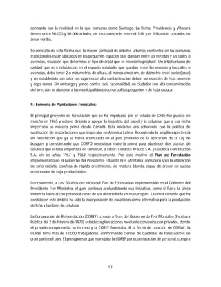 57
contrasta con la realidad en la que comunas como Santiago, La Reina, Providencia y Vitacura
tienen entre 50.000 y 80.000 árboles, de los cuales solo entre el 10% y el 20% están ubicados en
áreas verdes.
Se constata de esta forma que la mayor cantidad de árboles urbanos existentes en las comunas
tradicionales están ubicados en los pequeños espacios que quedan entre las veredas y las calles o
avenidas, situación que determina el tipo de árbol que es necesario producir. Un árbol urbano de
calidad que será establecido en el espacio señalado, que quedan entre las veredas y las calles o
avenidas, debe tener 2 o más metros de altura, al menos cinco cm. de diámetro en el cuelo (base)
y ser establecido con tutor; en lugares con alta contaminación deben ser especies de hoja perenne
y copa densa. Sin embargo y yendo contra toda racionalidad, en ciudades con alta contaminación
del aire, aún se abastece a las municipalidades con arbolitos pequeños y de hoja caduca.
9.- Fomento de Plantaciones Forestales:
El principal proyecto de forestación que se ha impulsado por el estado de Chile fue puesto en
marcha en 1965 y estuvo dirigido a apoyar la industria del papel y la celulosa, que a esa fecha
importaba su materia prima desde Canadá. Esta iniciativa era coherente con la política de
sustitución de importaciones que imperaba en América Latina. Recogiendo la amplia experiencia
en forestación que ya se había acumulado en el país producto de la aplicación de la Ley de
bosques y considerando que CORFO necesitaba materia prima para abastecer dos plantas de
celulosa que estaba empeñada en construir, a saber: Celulosa Arauco S.A. y Celulosa Constitución
S.A, en los años 1967 y 1969 respectivamente. Por este motivo el Plan de Forestación
implementado en el Gobierno del Presidente Eduardo Frei Montalva, consideró solo la utilización
de pino radiata, conífera de rápido crecimiento, de madera blanda, capaz de crecer en suelos
erosionados de baja productividad.
Curiosamente, a casi 50 años del inicio del Plan de Forestación implementado en el Gobierno del
Presidente Frei Montalva, el país continúa profundizando esa iniciativa, como si fuera la única
industria forestal con potencial capaz de ser desarrollada en nuestro país. La única variante que ha
existido en este ámbito ha sido la incorporación de eucaliptus como alternativa para la producción
de leña y también de celulosa.
La Corporación de Reforestación (COREF), creada a fines del Gobierno de Frei Montalva (Escritura
Pública del 2 de febrero de 1970) establecía plantaciones mediante convenios con privados, donde
el privado comprometía su terreno y la COREF forestaba. A la fecha de creación de CONAF, la
COREF tenía más de 12.000 trabajadores, conformando cientos de cuadrillas de forestadores en
gran parte del país. El presupuesto que manejaba la COREF para contratación de personal, compra
 
