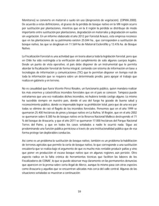 59
Monitoreo) se convierte en matorral o suelo sin uso (desprovisto de vegetación). (CIPMA.2000).
De acuerdo a estas definiciones, el grueso de la pérdida de bosque nativo en la VIII región ocurre
por sustitución por plantaciones, mientras que en la X región la pérdida se distribuye de modo
importante entre sustitución por plantaciones, degradación en matorrales y degradación en suelos
sin vegetación. En un informe elaborado el año 2012 por Forestal Arauco, esta empresa reconoce
que en las plantaciones de su patrimonio existen 25.044 ha., que corresponden a sustitución de
bosque nativo, las que se desglosan en 11.569 ha de Matorral Esclerófilo y 13.476 ha. de Bosque
Nativo.
La Fiscalización Forestal es una actividad que en teoría abarca toda la legislación forestal, pero que
en Chile ha sido restringida a la verificación del cumplimiento de solo algunos cuerpos legales.
Desde un punto de vista operativo, el país debe disponer de un instrumental que le permita
abordar la fiscalización forestal de forma integral, contando con sistema de información en base a
tecnologías de información y comunicaciones (TIC) que le permitan disponer en tiempo real de
toda la información que se requiera sobre un determinado predio, para apoyar el trabajo que
realiza en gabinete y en terreno.
No es casualidad que fuera Vicente Pérez Rosales, un funcionario público, quien mandara realizar
los más enormes y catastróficos incendios forestales que en el país se conocen. Tampoco puede
extrañarnos que una vez realizados dichos incendios, no hubiera tenido castigo alguno. Lo mismo
ha sucedido siempre en nuestro país, donde el uso del fuego ha gozado de buena salud y
reconocimiento público, donde es impensable lograr su prohibición total, para que de una vez por
todas se elimine de raíz el flagelo de los incendios forestales. Pensemos que en el año 1999 se
quemaron 25.400 hectáreas de pinos y bosque nativo en La Rufina, VI Región, que en el año 2002
se quemaron sobre 8.300 ha de bosque nativo en la Reserva Nacional Malleco destruyendo el 71
% del bosque de Araucaria, y que el año 2011 se quemaron 17.000 hectáreas del Parque Nacional
Torres del Paine, y que en todos los casos señalados a nadie le ocurrió nada. Sigue así
predominando una función pública perniciosa a través de una institucionalidad pública que de esa
forma protege tan deplorables conductas.
Así como es un problema la sustitución de bosque nativo, también es un problema la habilitación
de terrenos agrícolas que permite la corta de bosque nativo, lo que corresponde a una sustitución
encubierta que se realiza bajo el argumento de que es mucho más rentable producir paltas y vino
que poner en producción el escaso bosque nativo que en algunas regiones aún persiste. Otro
aspecto radica en la falta crónica de herramientas técnicas que faciliten las labores de los
Fiscalizadores de CONAF, lo que se puede observar muy claramente en las permanentes denuncias
que aparecen en la prensa sobre corta ilegal de Alerce, aunque lo mismo pasa con otras especies
como Araucaria y aquellas que se encuentran ubicadas más cerca del valle central. Algunas de las
situaciones señaladas se muestran a continuación:
 