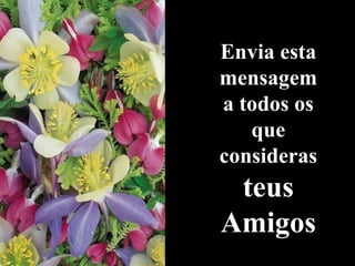 Envia esta mensagem a todos os que consideras  teus Amigos 