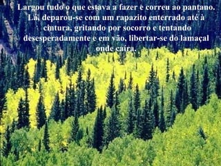 Largou tudo o que estava a fazer e correu ao pantano. Lá, deparou-se com um rapazito enterrado até à cintura, gritando por socorro e tentando desesperadamente e em vão, libertar-se do lamaçal onde caíra. 