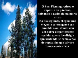 O Snr. Fleming retirou o rapazito do pântano, salvando-o assim duma morte atroz. No dia seguinte, chegou uma elegante carruagem à sua humilde casa, donde saiu um nobre elegantemente vestido, que se lhe dirigiu apresentando-se como o pai do rapazinho que salvara duma morte certa. 