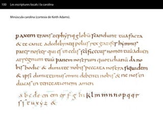 100   Les escriptures locals i la carolina


      Minúscula carolina (cortesia de Keith Adams).
 