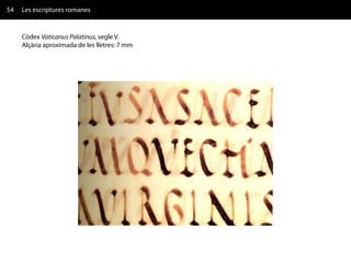 54   Les escriptures romanes


     Còdex Vaticanus Palatinus, segle V.
     Alçària aproximada de les lletres: 7 mm
 