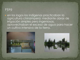 en los lagos los indígenas practicaban la agricultura chinampera: mediante obras de irrigación simples pero ingeniosas, aprovechaban el exceso de agua para hacer un cultivo intensivo de la tierra.1519