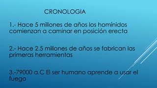 CRONOLOGIA
1.- Hace 5 millones de años los homínidos
comienzan a caminar en posición erecta
2.- Hace 2.5 millones de años se fabrican las
primeras herramientas
3.-79000 a.C El ser humano aprende a usar el
fuego
 