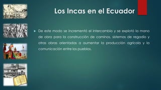 Los Incas en el Ecuador
 De este modo se incrementó el intercambio y se explotó la mano
de obra para la construcción de caminos, sistemas de regadío y
otras obras orientadas a aumentar la producción agrícola y la
comunicación entre los pueblos.
 