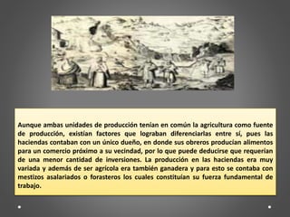 Aunque ambas unidades de producción tenían en común la agricultura como fuente
de producción, existían factores que lograban diferenciarlas entre sí, pues las
haciendas contaban con un único dueño, en donde sus obreros producían alimentos
para un comercio próximo a su vecindad, por lo que puede deducirse que requerían
de una menor cantidad de inversiones. La producción en las haciendas era muy
variada y además de ser agrícola era también ganadera y para esto se contaba con
mestizos asalariados o forasteros los cuales constituían su fuerza fundamental de
trabajo.
 