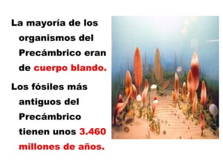 La mayoría de los organismos del Precámbrico eran de  cuerpo blando. Los fósiles más antiguos del Precámbrico tienen unos  3.460 millones de años.  