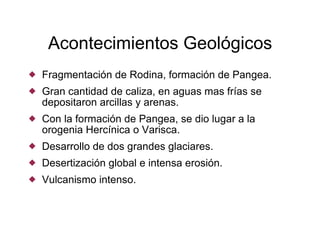 Acontecimientos Geológicos Fragmentación de Rodina, formación de Pangea. Gran cantidad de caliza, en aguas mas frías se depositaron arcillas y arenas. Con la formación de Pangea, se dio lugar a la orogenia Hercínica o Varisca. Desarrollo de dos grandes glaciares. Desertización global e intensa erosión. Vulcanismo intenso. 
