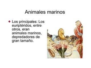 Animales marinos  Los principales: Los euriptéridos, entre otros, eran animales marinos, depredadores de gran tamaño. 