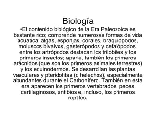 Biología El contenido biológico de la Era Paleozoica es bastante rico; comprende numerosas formas de vida acuática: algas, esponjas, corales, braquiópodos, moluscos bivalvos, gasterópodos y cefalópodos; entre los artrópodos destacan los trilobites y los primeros insectos; aparte, también los primeros arácnidos (que son los primeros animales terrestres) y los equinodermos. Se desarrollan las plantas vasculares y pteridofitas (o helechos), especialmente abundantes durante el Carbonífero. También en esta era aparecen los primeros vertebrados, peces cartilaginosos, anfibios e, incluso, los primeros reptiles. 