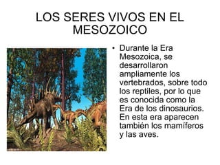 LOS SERES VIVOS EN EL MESOZOICO Durante la Era Mesozoica, se desarrollaron ampliamente los vertebrados, sobre todo los reptiles, por lo que es conocida como la Era de los dinosaurios. En esta era aparecen también los mamíferos y las aves. 