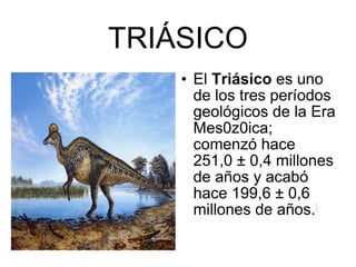 TRIÁSICO El  Triásico  es uno de los tres períodos    geológicos de la Era Mes0z0ica; comenzó hace 251,0 ± 0,4 millones de años y acabó hace 199,6 ± 0,6 millones de años. [ 