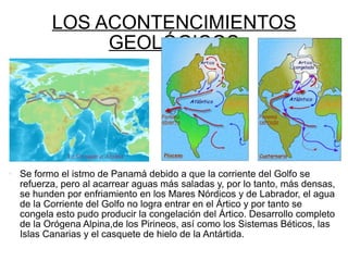 LOS ACONTENCIMIENTOS GEOLÓGICOS Se formo el istmo de Panamá debido a que la corriente del Golfo se refuerza, pero al acarrear aguas más saladas y, por lo tanto, más densas, se hunden por enfriamiento en los Mares Nórdicos y de Labrador, el agua de la Corriente del Golfo no logra entrar en el Ártico y por tanto se congela esto pudo producir la congelación del Ártico. Desarrollo completo de la Orógena Alpina,de los Pirineos, así como los Sistemas Béticos, las Islas Canarias y el casquete de hielo de la Antártida.  