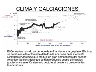 CLIMA Y GALCIACIONES  El Cenozoico ha sido un período de enfriamiento a largo plazo. El clima se enfrió considerablemente debido a la aparición de la  Corriente   Circumpolar Antártica  que produjo un gran enfriamiento del océano Antártico. Se considera que se han producido cuatro principales glaciaciones en el Cuaternario debidas al descenso brusco de las temperaturas.  