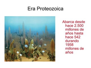 Era  Proteozoica Abarca desde hace 2.500 millones de años hasta hace 542 durando 1958 millones de años 
