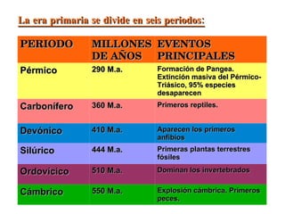 La era primaria se divide en seis periodos: PERIODO MILLONES DE AÑOS EVENTOS PRINCIPALES Pérmico 290 M.a. Formación de Pangea. Extinción masiva del Pérmico-Triásico, 95% especies desaparecen Carbonífero 360 M.a. Primeros reptiles. Devónico 410 M.a. Aparecen los primeros anfibios Silúrico 444 M.a. Primeras plantas terrestres fósiles Ordovícico 510 M.a. Dominan los invertebrados Cámbrico 550 M.a. Explosión cámbrica. Primeros peces. 