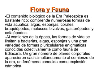 Flora y Fauna -El contenido biológico de la Era Paleozoica es bastante rico; comprende numerosas formas de vida acuática: algas, esponjas, corales, braquiópodos, moluscos bivalvos, gasterópodos y cefalópodos. -Al comienzo de la época, las formas de vida se limitan a bacterias, algas, esponjas y una gran variedad de formas pluricelulares enigmáticas conocidas colectivamente como fauna de Ediacara. Un gran número de planes corporales aparecieron casi simultáneamente al comienzo de la era, un fenómeno conocido como explosión cámbrica. 