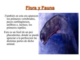 Flora y Fauna -También en esta era aparecen los primeros vertebrados, peces cartilaginosos, anfibios e, incluso, los primeros reptiles. Esto es un fosil de un pez placodermo, donde se puede apreciar a la perfeccion las distintas partes de dicho animal. 