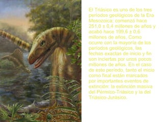 El Triásico es uno de los tres períodos geológicos de la Era Mesozoica; comenzó hace 251,0 ± 0,4 millones de años y acabó hace 199,6 ± 0,6 millones de años. Como ocurre con la mayoría de los períodos geológicos, las fechas exactas de inicio y fin son inciertas por unos pocos millones de años. En el caso de este período, tanto el inicio como final están marcados por importantes eventos de extinción: la extinción masiva del Pérmico-Triásico y la del Triásico-Jurásico. 