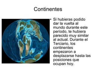 Continentes Si hubieras podido dar la vuelta al mundo durante este período, te hubiera parecido muy similar al actual. Durante el Terciario, los continentes empezaron a desplazarse hasta las posiciones que ocupan hoy. 