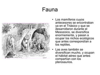 Fauna Los mamíferos cuyos antecesores se encontraban ya en el Triásico y que se desarrollaron durante el Mesozoico, se diversifica enormemente, y pasan a ocupar los nichos ecológicos que antes correspondían a los reptiles. Las aves también se diversifican mucho, y ocupan el hábitat aéreo que antes compartían con los pterosaurios. 