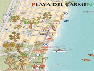 Historia 50 imagenes