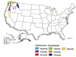 Historia 50 imagenes