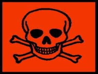 Historia 50 imagenes