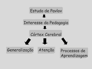 Estudo de Pavlov
Interesse da Pedagogia
Córtex Cerebral
Generalização Atenção Processos de
Aprendizagem
 