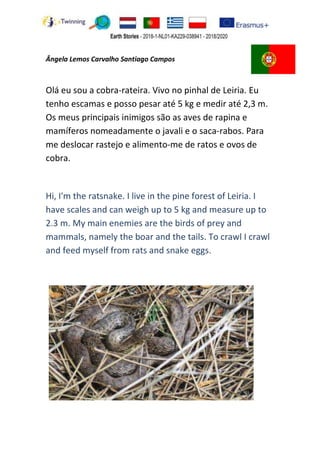 Ângela Lemos Carvalho Santiago Campos
Olá eu sou a cobra-rateira. Vivo no pinhal de Leiria. Eu
tenho escamas e posso pesar...
