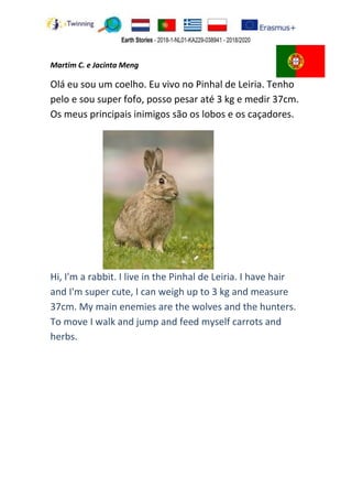 Martim C. e Jacinta Meng
Olá eu sou um coelho. Eu vivo no Pinhal de Leiria. Tenho
pelo e sou super fofo, posso pesar até 3 kg e medir 37cm.
Os meus principais inimigos são os lobos e os caçadores.
Hi, I'm a rabbit. I live in the Pinhal de Leiria. I have hair
and I'm super cute, I can weigh up to 3 kg and measure
37cm. My main enemies are the wolves and the hunters.
To move I walk and jump and feed myself carrots and
herbs.
 