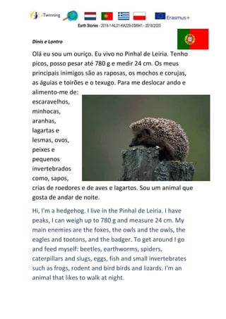 Dinis e Lontro
Olá eu sou um ouriço. Eu vivo no Pinhal de Leiria. Tenho
picos, posso pesar até 780 g e medir 24 cm. Os meus
principais inimigos são as raposas, os mochos e corujas,
as águias e toirões e o texugo. Para me deslocar ando e
alimento-me de:
escaravelhos,
minhocas,
aranhas,
lagartas e
lesmas, ovos,
peixes e
pequenos
invertebrados
como, sapos,
crias de roedores e de aves e lagartos. Sou um animal que
gosta de andar de noite.
Hi, I'm a hedgehog. I live in the Pinhal de Leiria. I have
peaks, I can weigh up to 780 g and measure 24 cm. My
main enemies are the foxes, the owls and the owls, the
eagles and tootons, and the badger. To get around I go
and feed myself: beetles, earthworms, spiders,
caterpillars and slugs, eggs, fish and small invertebrates
such as frogs, rodent and bird birds and lizards. I'm an
animal that likes to walk at night.
 