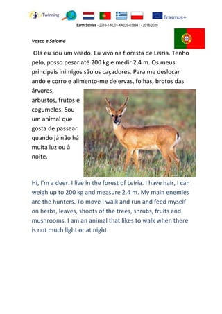 Vasco e Salomé
Olá eu sou um veado. Eu vivo na floresta de Leiria. Tenho
pelo, posso pesar até 200 kg e medir 2,4 m. Os meus
principais inimigos são os caçadores. Para me deslocar
ando e corro e alimento-me de ervas, folhas, brotos das
árvores,
arbustos, frutos e
cogumelos. Sou
um animal que
gosta de passear
quando já não há
muita luz ou à
noite.
Hi, I'm a deer. I live in the forest of Leiria. I have hair, I can
weigh up to 200 kg and measure 2.4 m. My main enemies
are the hunters. To move I walk and run and feed myself
on herbs, leaves, shoots of the trees, shrubs, fruits and
mushrooms. I am an animal that likes to walk when there
is not much light or at night.
 